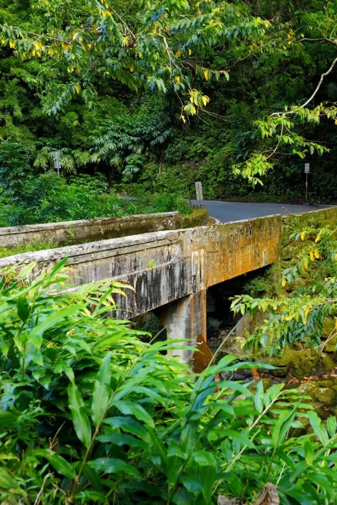 Road to Hana one lane bridge