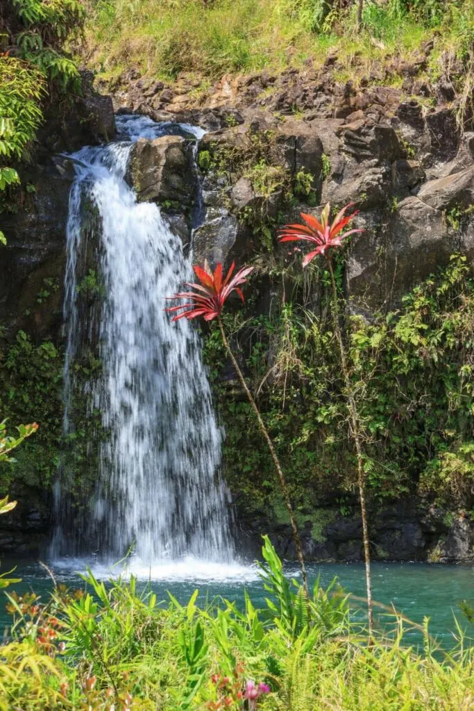 Waterfall on the Road to Hana