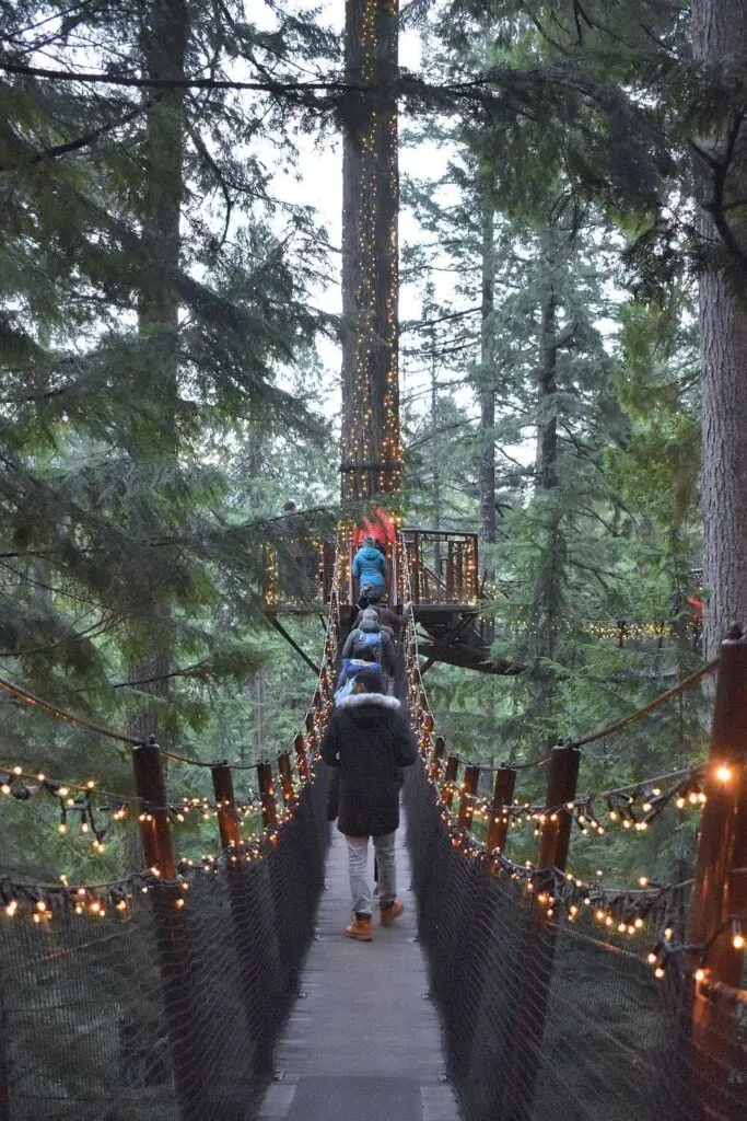 Canyon Lights at the Capilano Suspension Bridge