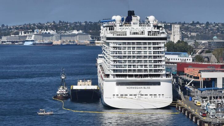 Norwegian docked at Seattle's Pier 66 and a Holland America and Royal Caribbean docked at Pier 91