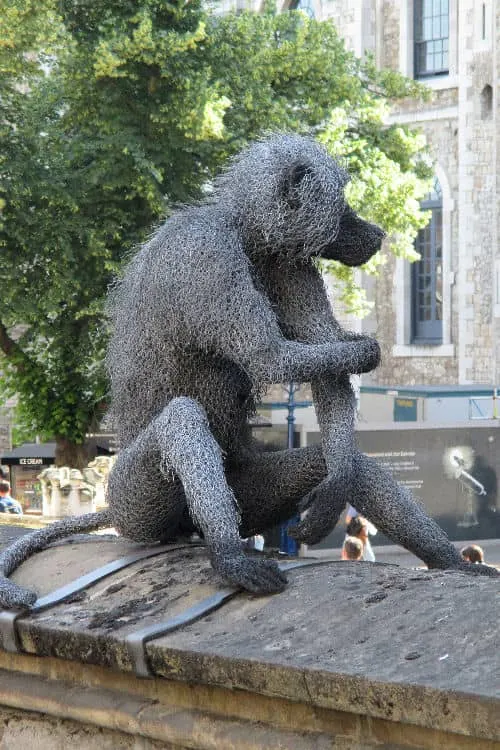 Wire monkey at the Tower of London