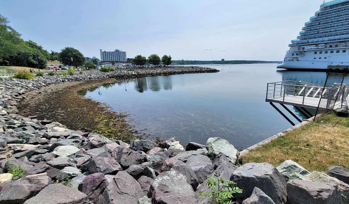 Sydney boardwalk from the cruise port