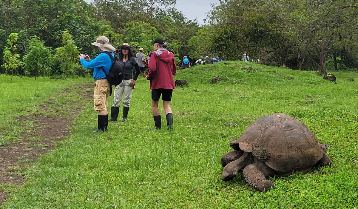 Enjoying a tour in Santa Cruz highlands