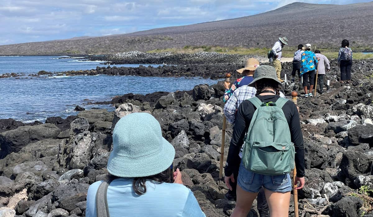 On an independent tour to Los Lobos