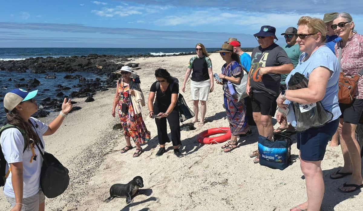 Our group snorkeling tour at La Loberia